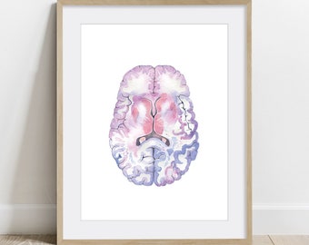 Brain Cross Section, Watercolor Science Art Poster, Biology Art, Anatomy Art Print, Neurology art