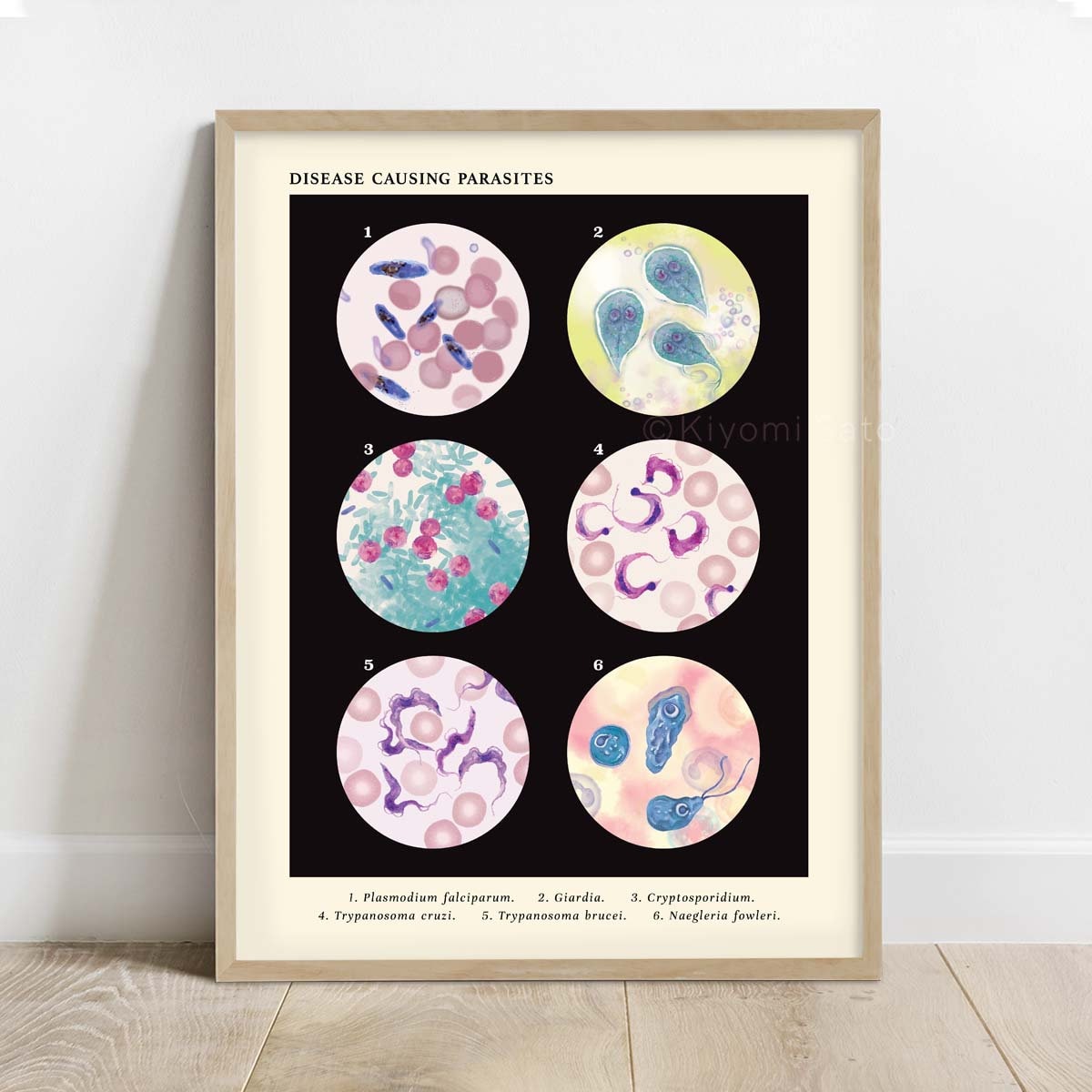 Disease Causing Parasite Collection, Vintage Style Science Art Print, Microbiology Wall decor, Parasitology art