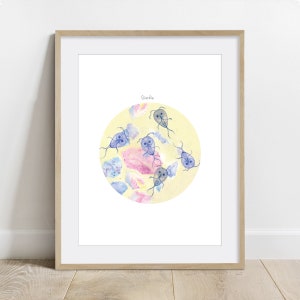 Giardia Science Art Print, Canine Parasite poster, Microbiology wall decor, Parasitology Poster