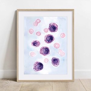 Mast cells, Blood Cells, Biology Poster, Science Art print, blood cell wall decor