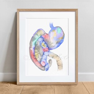 Canine Digestive system Anatomy Art Print, Veterinary Decor, Dog Gastroenterology Print, Neon Color