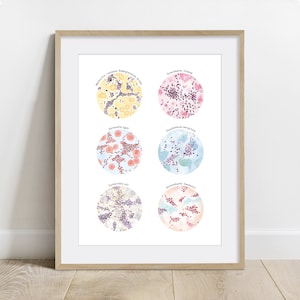 Opportunistic Bacteria of Canine and Feline Collection Art Print, Veterinary Microbiology Poster