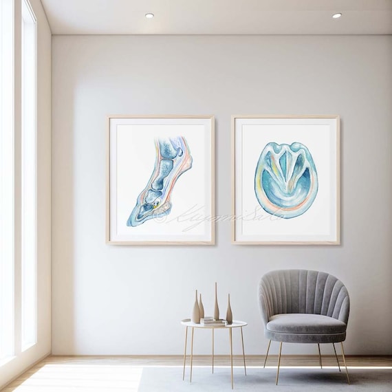 Horse foot Art Poster Set of 2, Horse foot side view, bottom view Wall Decor Veterinary Art Print