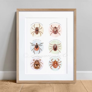Tick Collection Poster, Veterinary Art, Parasitology Art, Parasite Science Art Poster, Watercolor Tick Print