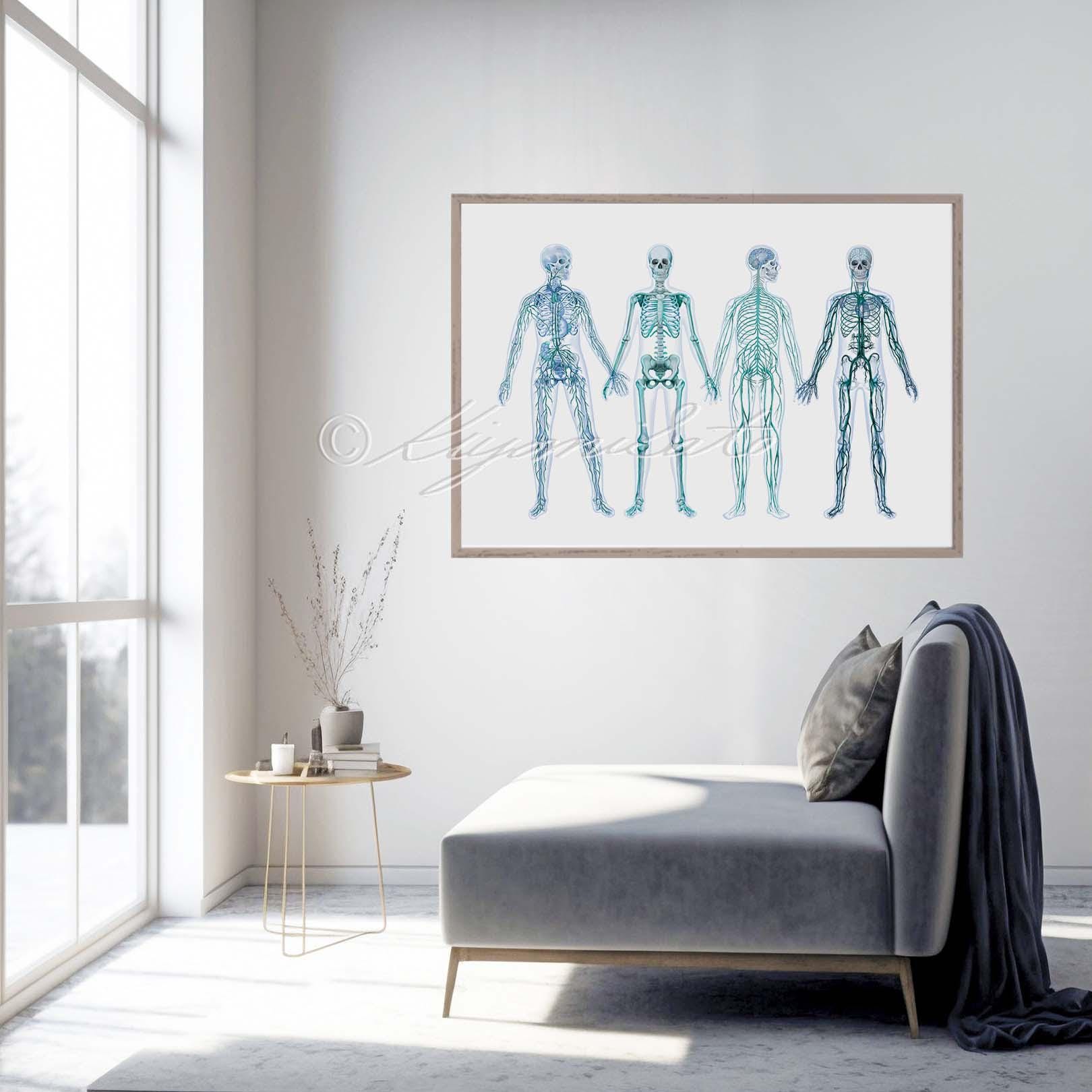Human Anatomy Body System Poster Abstract Art Poster, Arm Anatomy ...