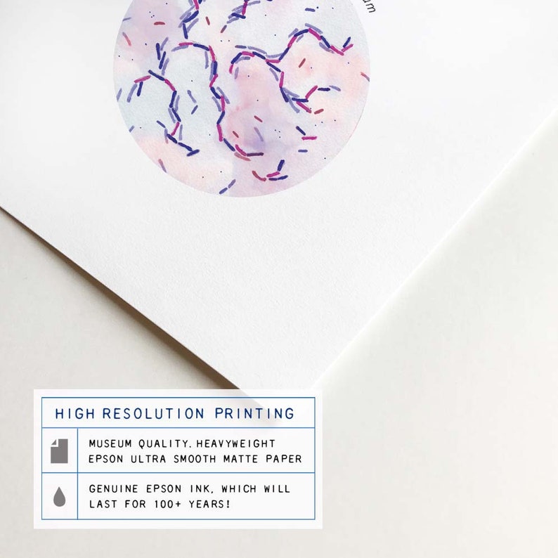 Wine Making Microbiome Collection Poster Fermenting Bacteria Etsy