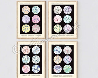 Food Microbiology Art for Kitchen 4 Poster set, Vintage style Science Art, Cheese, Wine, Brewing, fermenting microbiome, fungi, bacteria art