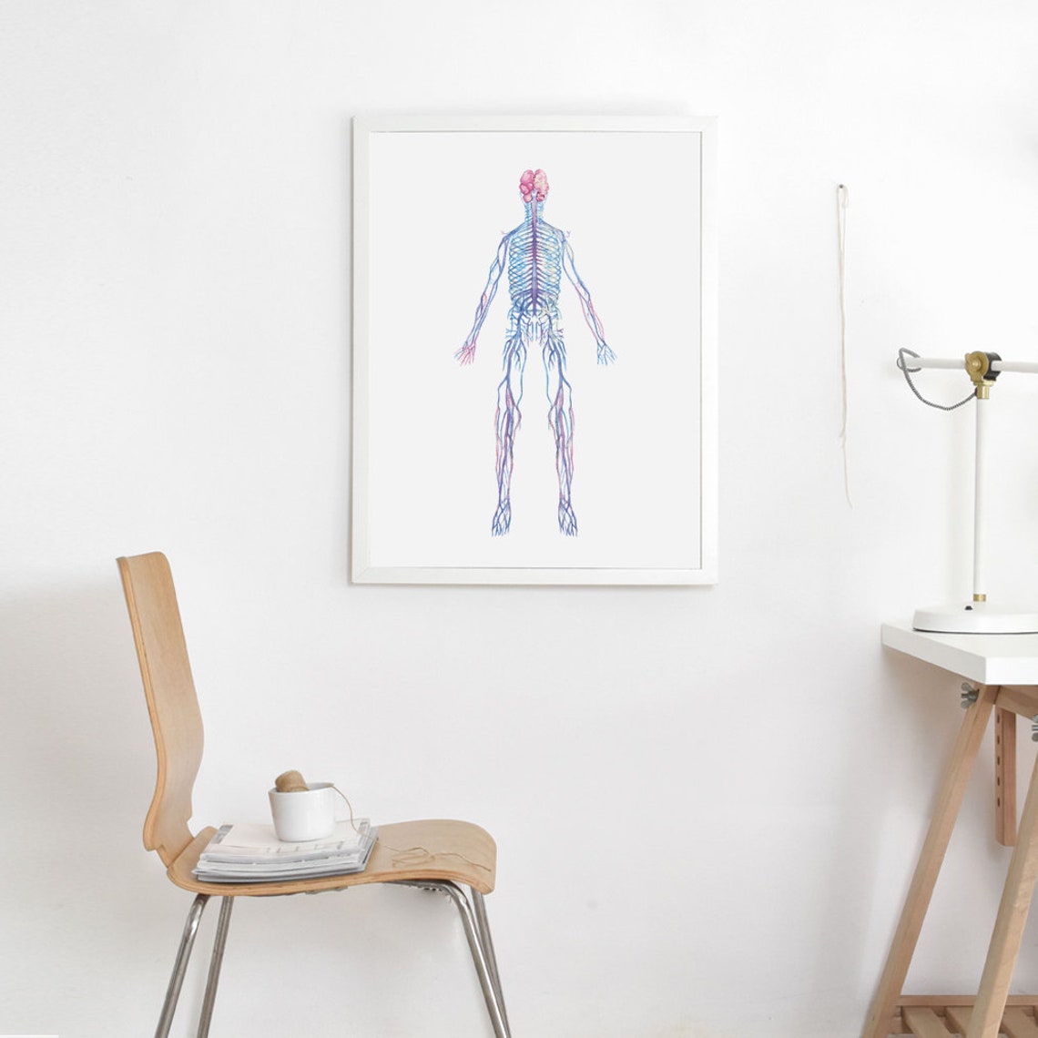 Abstract Autonomic Nervous System Human Body Anatomy Art, Watercolor ...