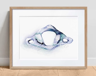 May include: A watercolor painting of a human bone, the axis, or C2 vertebra. The bone is painted in shades of blue, purple, and green, with a white background.