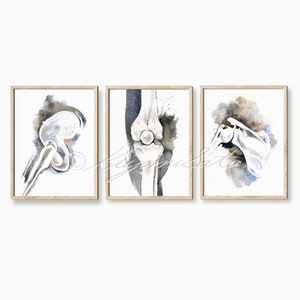 Orthopedic Art poster set of 3, Anatomy Art, Physical Therapy Science Art Poster, Bone art prints