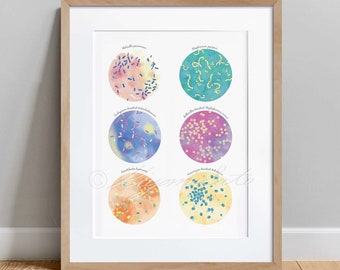 Antibiotic Resistant Bacteria Collection, Microbiology Poster, Science Art print, wall decor