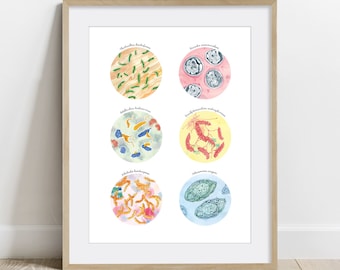 Wastewater Treatment Microorganisms Collection, Poster, microbiology Science art print, decor