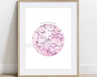 Streptococcus mutans Art Poster, Bacteria art print, Science Wall decor, Microbiology Art
