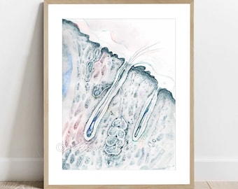 Op de afbeelding: Een aquarel schilderij van een microscopische dwarsdoorsnede van menselijke huid, met daarin haarfollikels en omliggend weefsel. Het kunstwerk heeft tinten blauw, groen en roze.