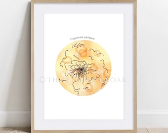 Treponema pallidum Science art, STD  Poster, microbiology art print, Watercolor Bacteria art decor