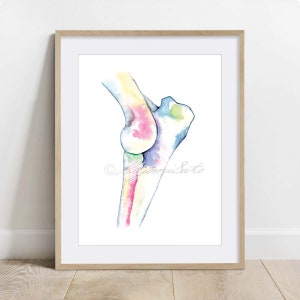 Dog Elbow Bone Art Print, Dog Skeletal System Art, Veterinary decor print, Canine  Anatomy art poster