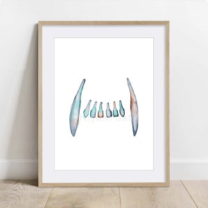 Feline Maxilla Tooth Veterinary Dentistry Art Poster, Cat Vet Dental Print Art Decor