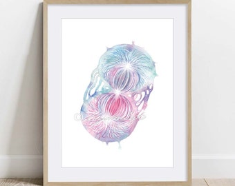 Cell Division, Biology Poster, Science Biochemistry Art print, Microbiology wall decor