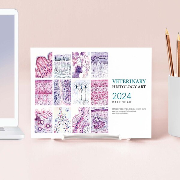 Vet Desk Calendar Etsy
