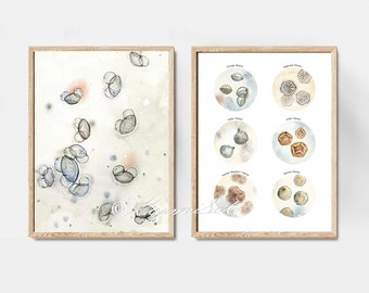 Pollen Art Poster Set of 2, Palynology Wall Decor, Science Art Print