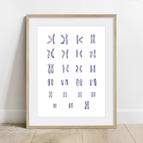 Female Chromosomes, Karyotype science art Biology print, DNA Genomics Poster, Biochemistry wall decor