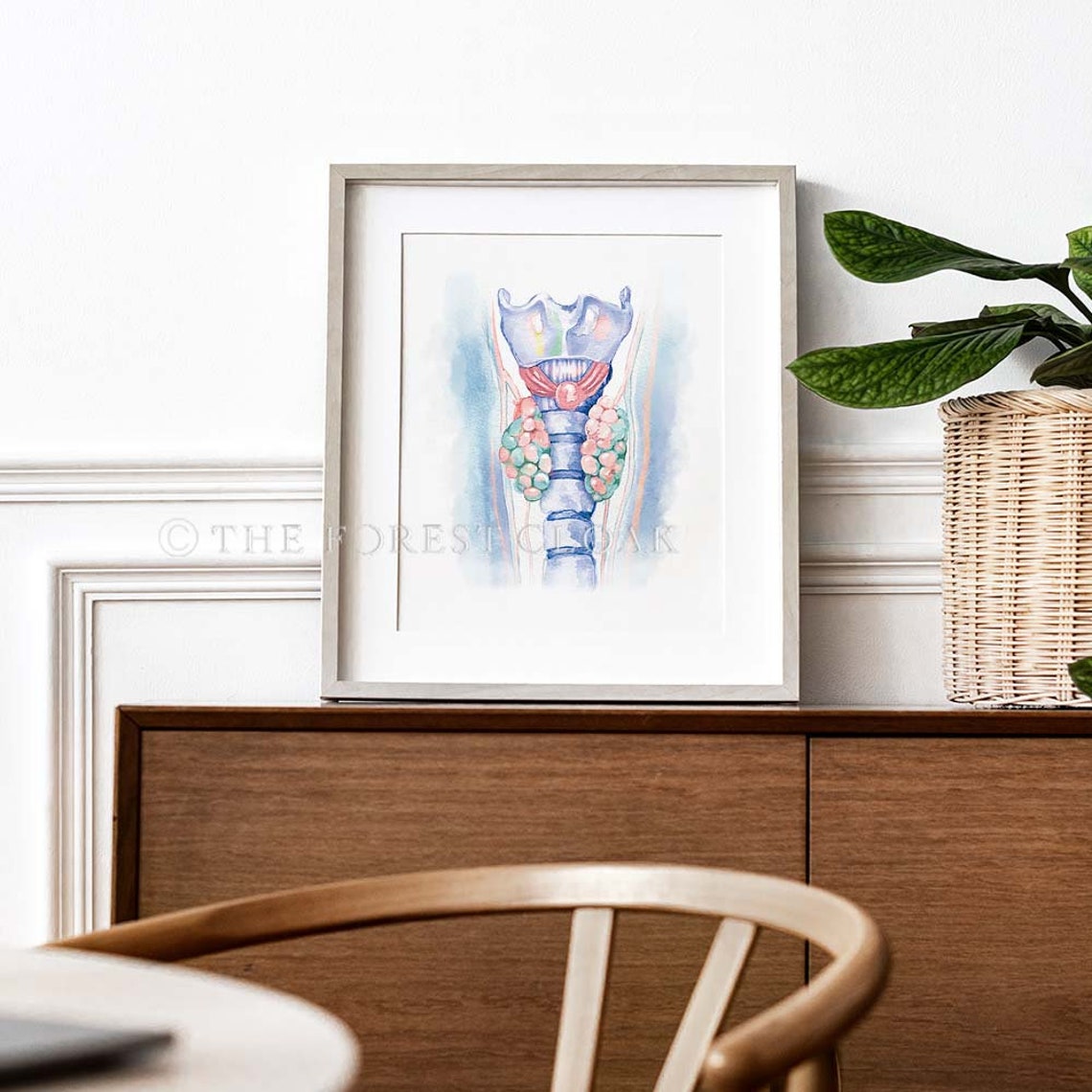 Canine Anatomy Art 4 Print Set Dog Anatomy Art Poster - Etsy