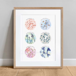 Food Fermenting Microbiome Collection Poster, Bacteria Fungi Science Art, Microbiology print