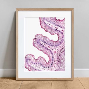 Goblet Cell Histology, Goblet Cells Science Art Decor, Anatomy Watercolor Cytology Poster, Pathology Art Print