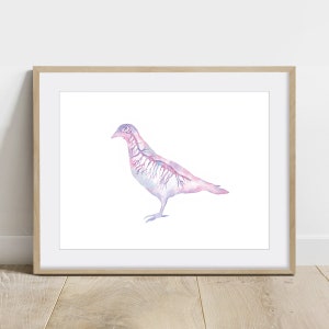 Avian, Bird Nervous System, Science Art Poster, Bird Anatomy Veterinary decor print, Magenta Horizontal
