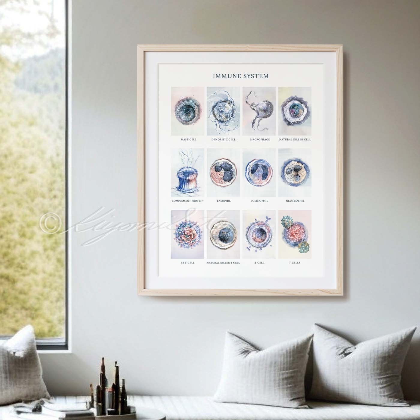 Watercolor Immune System Art Print, White Blood Cell Poster - Etsy