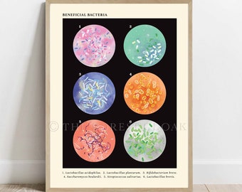 Beneficial Bacteria Collection, Vintage Style Science Art, Probiotics Print, Microbiology Decor