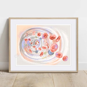 The Journey of Blood Cell, Science Art Print, Biology Wall Decor Poster