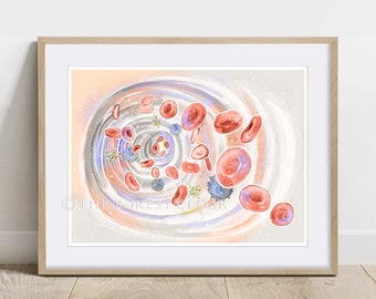 The Journey of Blood Cell, Science Art Print, Biology Wall Decor Poster