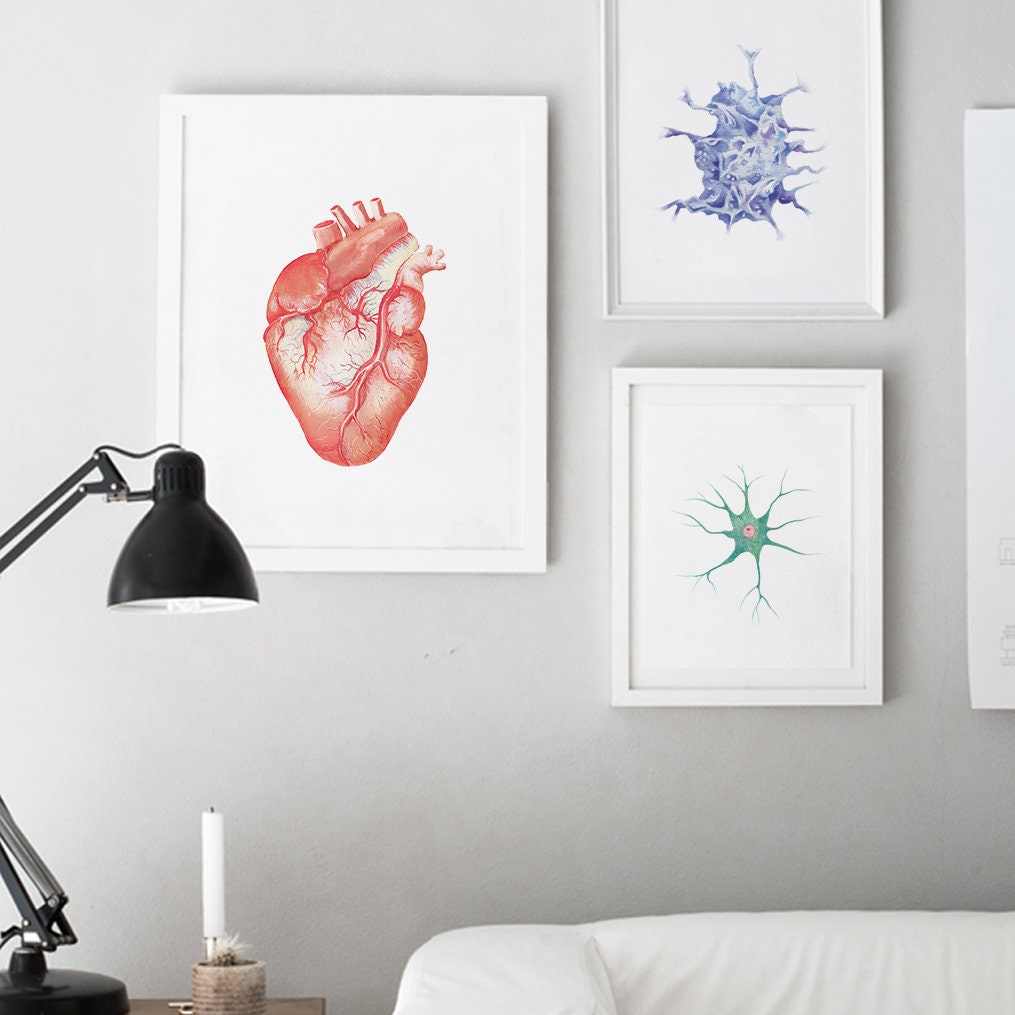 Human Anatomical Heart Poster, Science Art, Cardiovascular Print ...