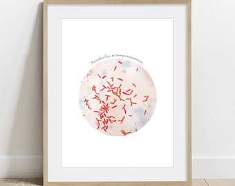 Actinobacillus actinomycetemcomitans, Bacteria Art Print, Microbiology poster, Oral Pathogen