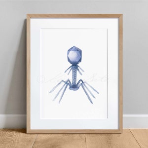 Bacteriophage Virus Art Blue Print, Virology art, Molecular biology poster, Watercolor science art