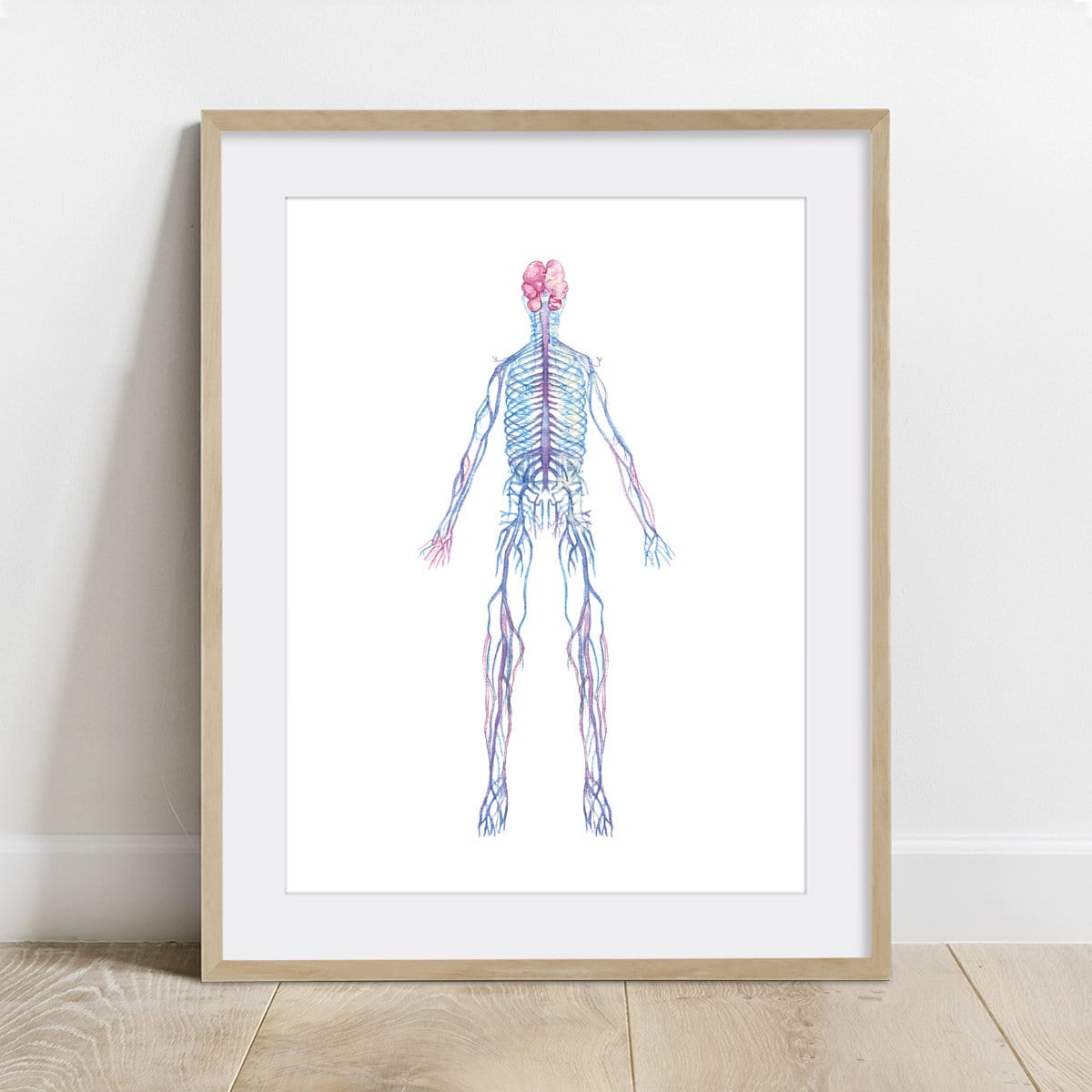 Abstract Autonomic Nervous System Human Body Anatomy Art, Watercolor ...