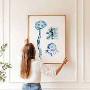 Brain and Spinal Cord Art Print Orthopedics Wall Decor, Physical ...