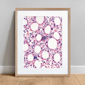Bone Marrow Art Histology Art Print, Watercolor Anatomy Art Poster