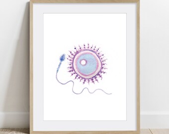 Reproductive cells, Biology Poster, Cytology Art, Science Art print, OBGYN wall decor