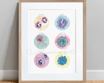 Defensive Cells, Immune System Collection, Microbiology Art Poster, Science print, Monocyte Macrophage Basophil Neutrophil T cell B cell
