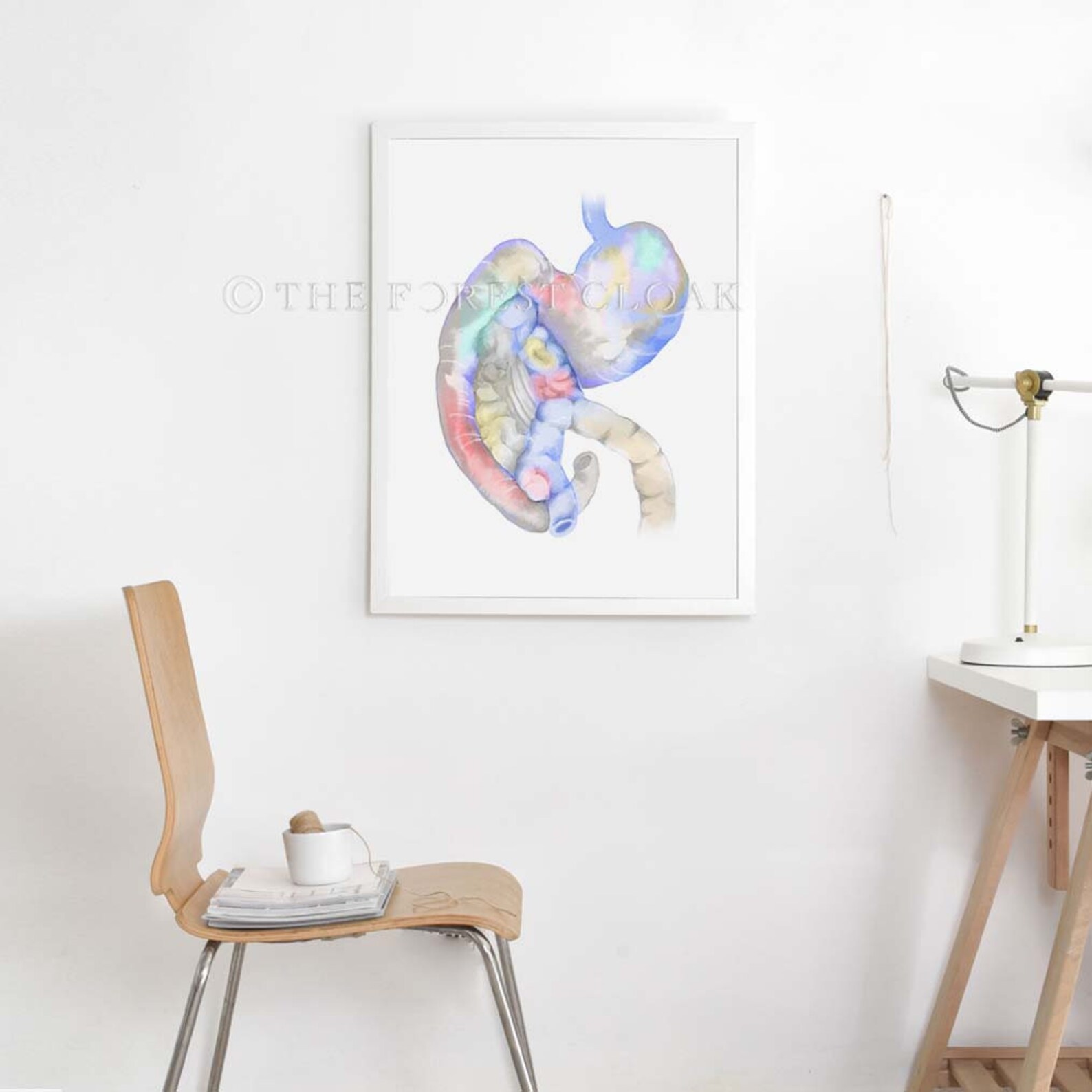 Canine Anatomy Art 4 Print Set Dog Anatomy Art Poster - Etsy