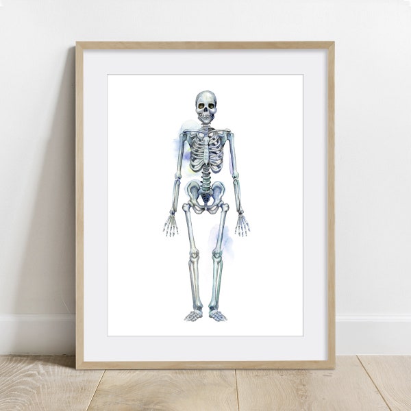 Skeleton Science Art Poster, Biology Art, Anatomy Print