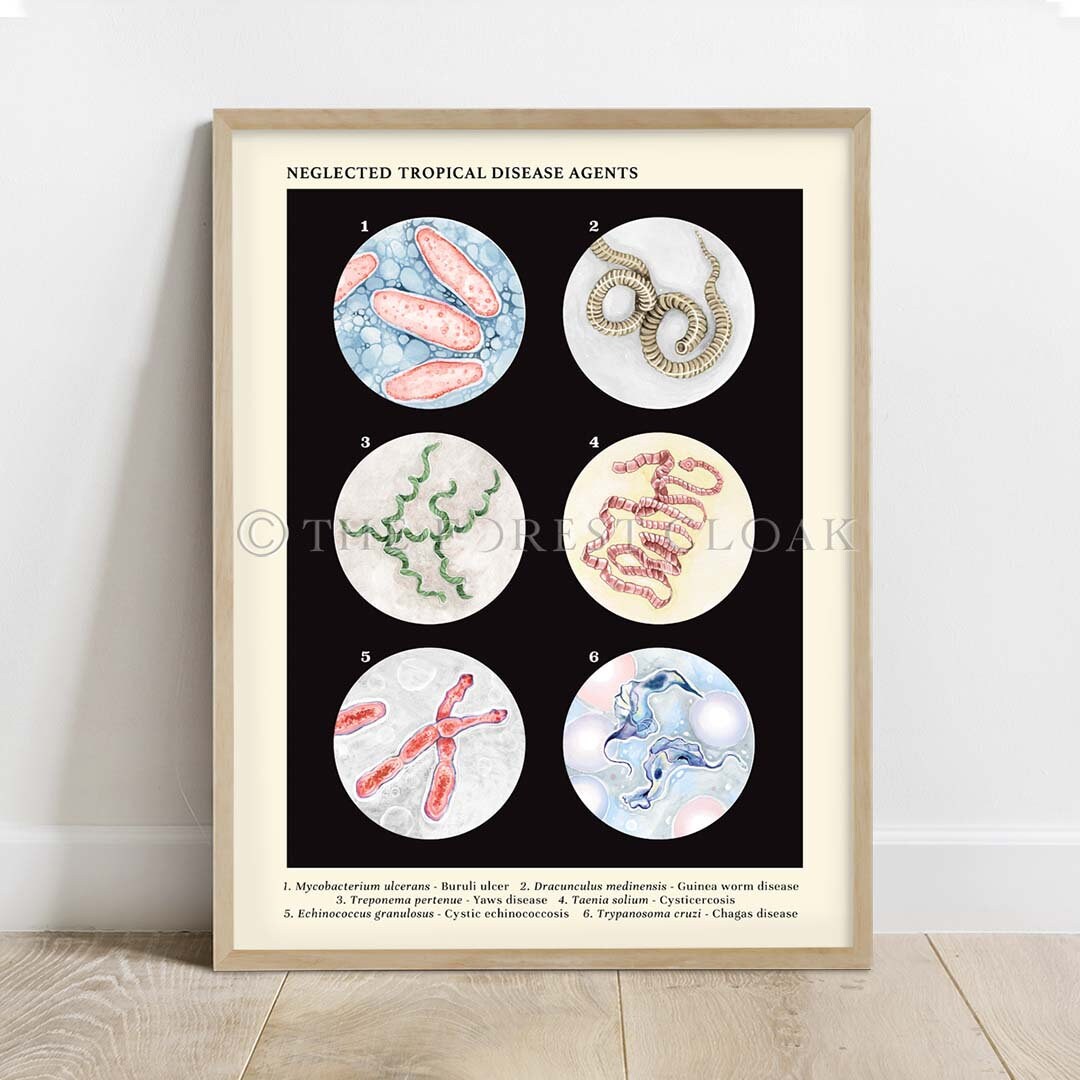 Deinococcus Radiodurans Art Radiotrophic Bacteria Print 