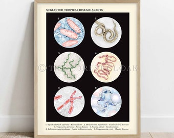 Neglected Tropical Disease Agents Collection, Vintage Style Parasite Art Print, Microbiology Art