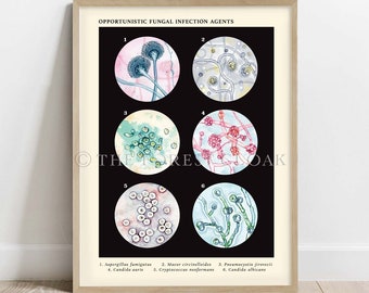 Opportunistic Fungal Infection Agents Collection Vintage Style Science Art Print, Microbiology art