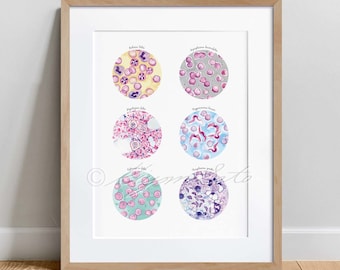 Feline Parasites Collection, Cat parasites, Science Art, microbiology print, Veterinary decor