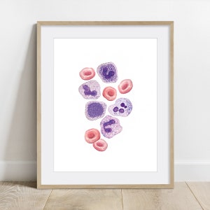 Blood Cells Biology Poster Science Art print Red blood cell white blood cell Biology wall decor Hematology art