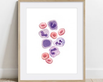 Blood Cells Watercolor Art Print, Biology Poster