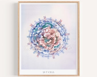 Gamma Delta T Cell Art, Innate Immunity Adaptive Immunity Art Print, White Blood Cell Microbiology Immunology Defensive Cell Science Poster